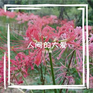 风雨中的七彩色