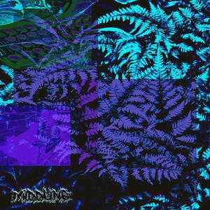 Thats it! Im Splitting up the Distrokid