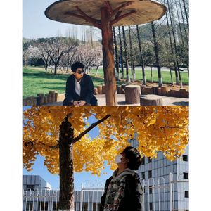 我的名字（cover 焦迈奇）