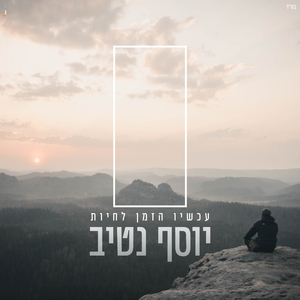 עכשיו הזמן לחיות