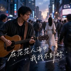 在茫茫人海中我一直找不到妳