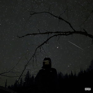 Can You See The Stars?