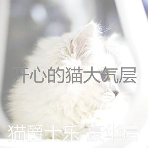 精彩小猫环境