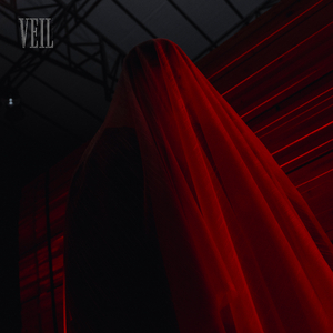 Veil
