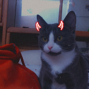 Tired of love (feat. stuey blanco)