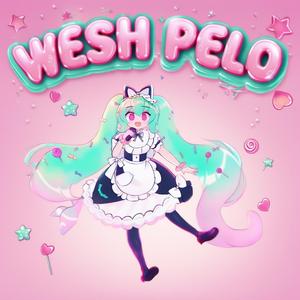 HATSUNE MIKU WESH PELO (KRØNØS POLKA REMIX)