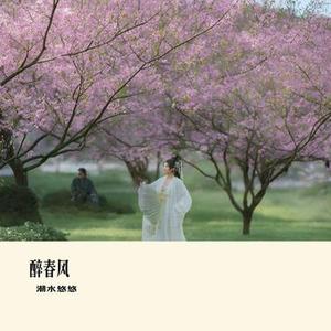 醉春风