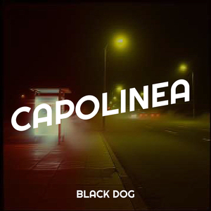 Capolinea