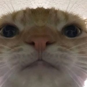 世界好吵，我们悄悄幸福就好