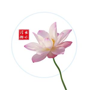 新鸳鸯蝴蝶梦_带通道混响