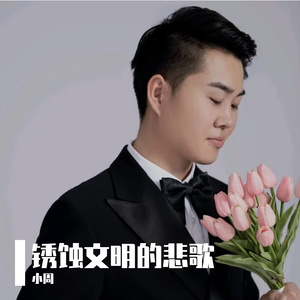 锈蚀文明的悲歌