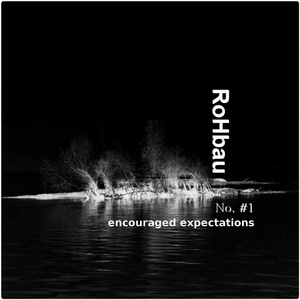 Encouraged Expectations