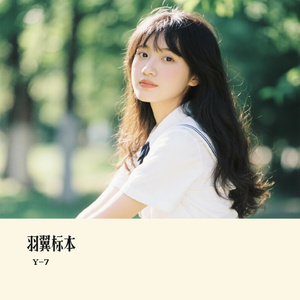 羽翼标本