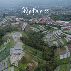 Mindfulness