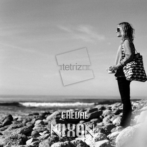 Nixon (Daniele Melizzi Remix)