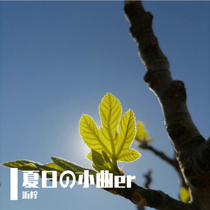 夏日の小曲er