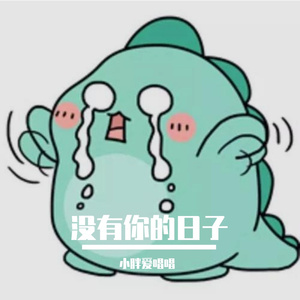 希望你不要介意-纯音乐