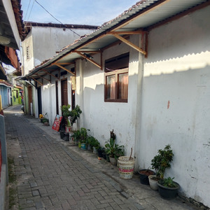 Cewe setia