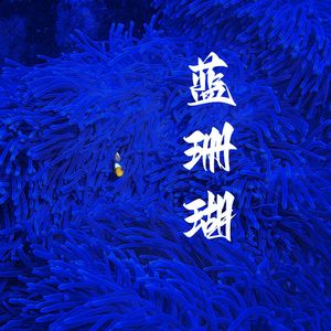 蓝珊瑚