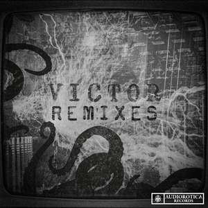 Dance All Night (Kreation x Avaire Remix)