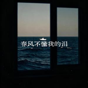 春风不懂我的泪