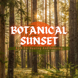 Shadows Enveloping Comfort