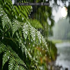 Vana Jullulu Nelanu Tadipinappudu