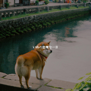 Casual Music for Ethereal Momentum