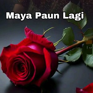 Maya Paun Lagi