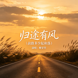 归途有风（前路多少起和落）
