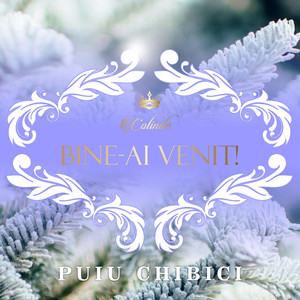 Au pornit la colindat