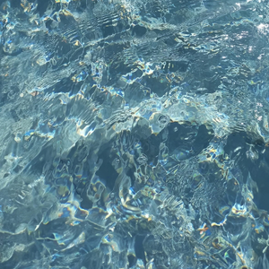 Permich - Uplifting.flac