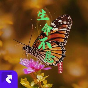 生命不息（DJ热爱生活版）