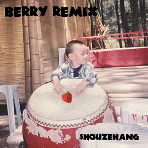 李佳隆-Berry Remix（shouzehang remix）