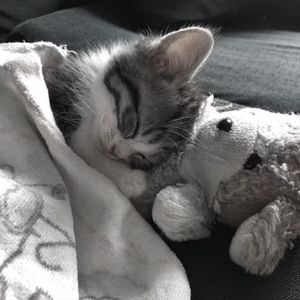 “和好吗” sad&sasioverlxrd&网感 type beat