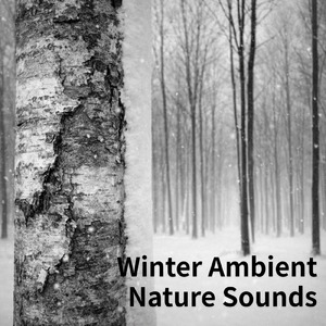 Nature Sounds for Deep Sleep and Relaxation