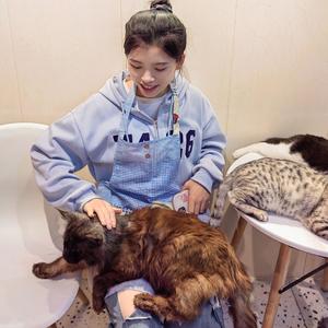 成龙 / 金喜善-美丽的神话Ⅰ（辉仔Morris remix）