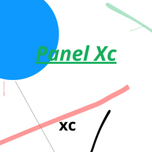 Panel Xc 4