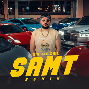 Samt (Remix)