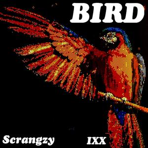 Bird (feat. Scrangzy)