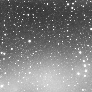 S.I.N.G.L.E. (Cover)