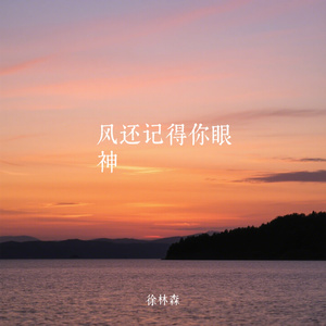 风还记得你眼神