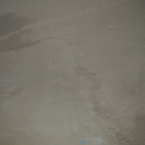 "All of You Bastards and god