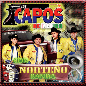 El Niño del Acordeón