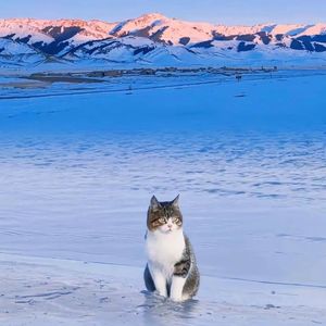 风儿唱（伴奏）