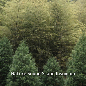 熟睡ギターBGM 睡眠の質を高めるヒーリング音楽 (自律神経を整える睡眠用 森 鳥)