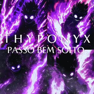 PASSO BEM SOLTO (SLOWED)