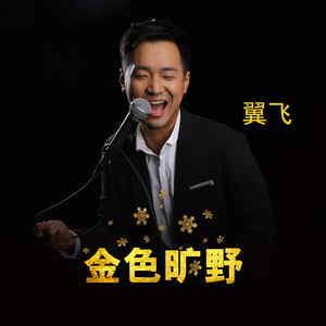 金色旷野 (伴奏)