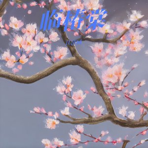 收藏(原唱：呆呆破)