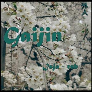 ブロードキャスト・インターナショナル (feat. rsb)